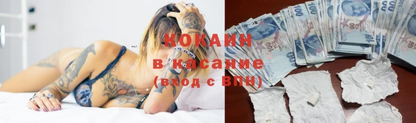 хмурый Вяземский