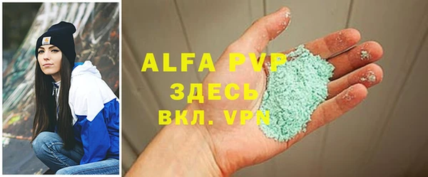 хмурый Вяземский