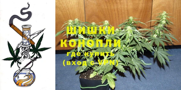 хмурый Вяземский