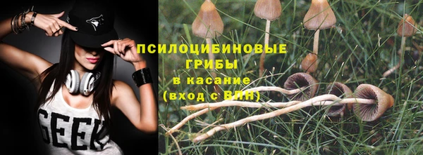 хмурый Вяземский