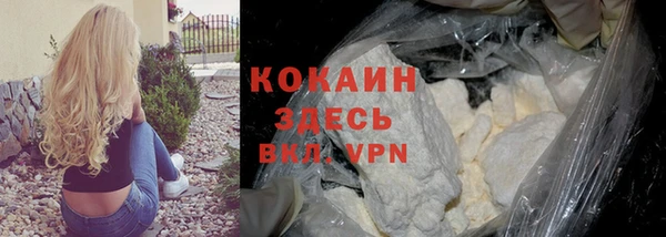хмурый Вяземский
